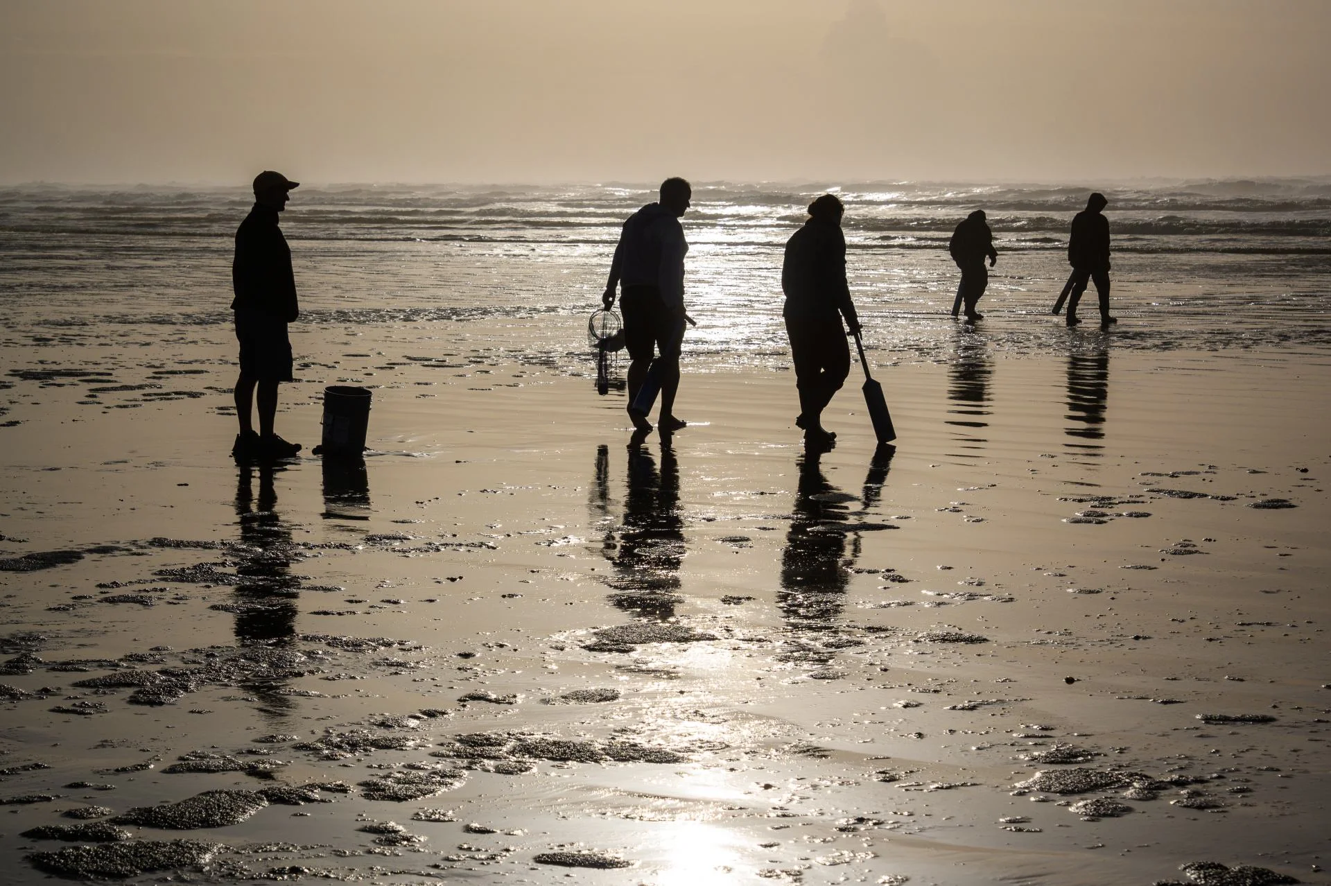 clamming at copalis beach